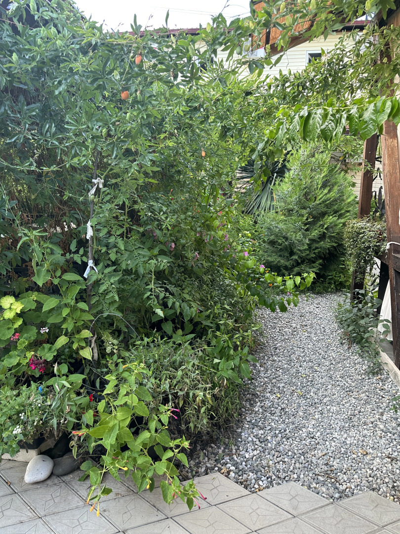 Гостевой дом Морская сказка