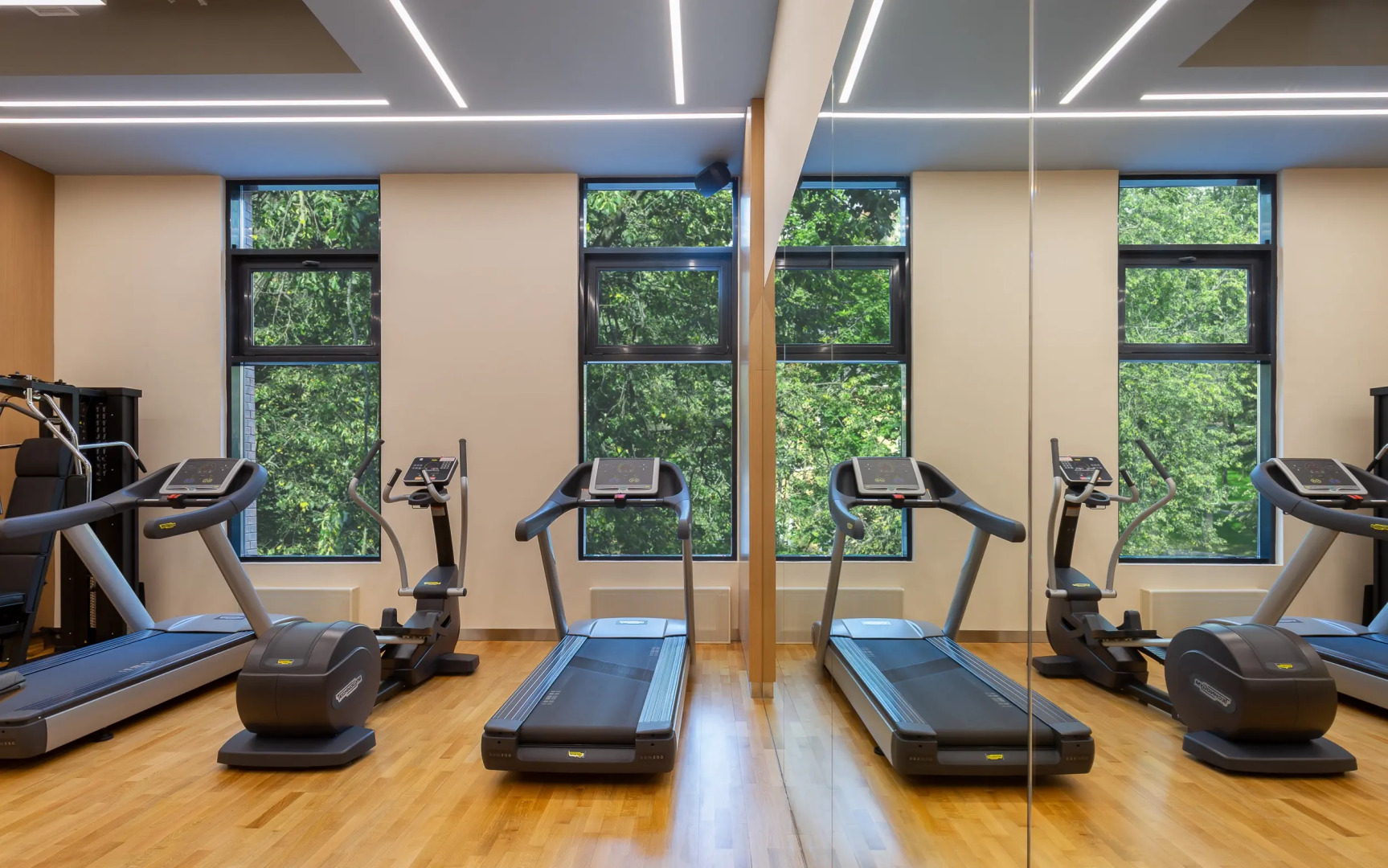 Отель СПА Palmira Garden