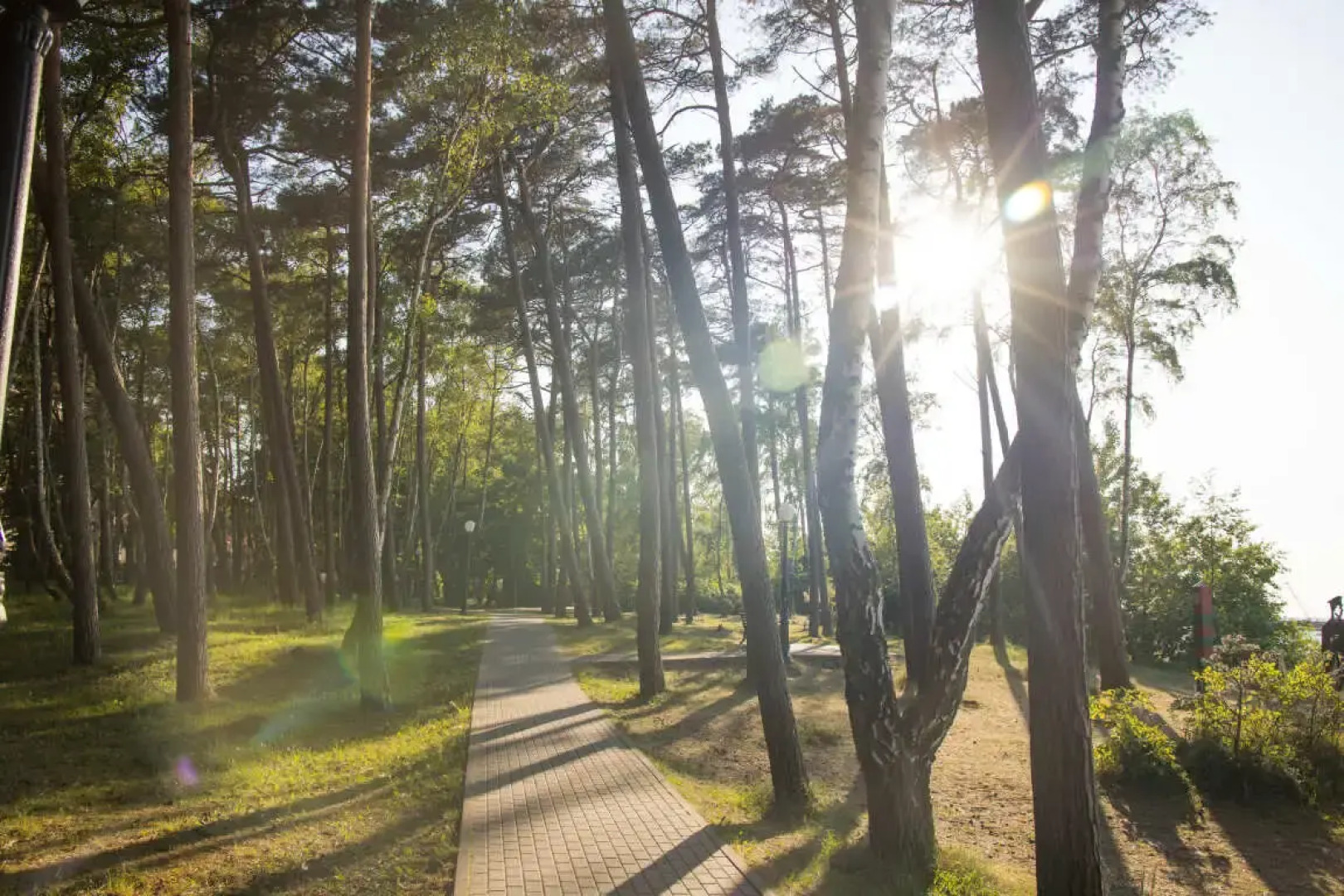 Апартаменты  LovelyHome39 на берегу моря в Пионерском студия 1