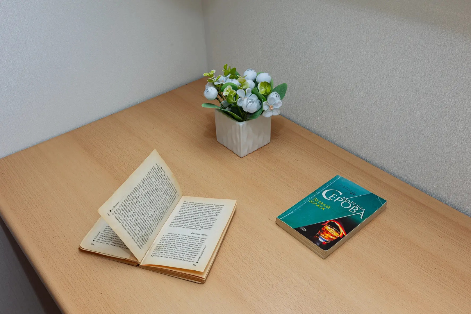 Квартира на Курортном проспекте