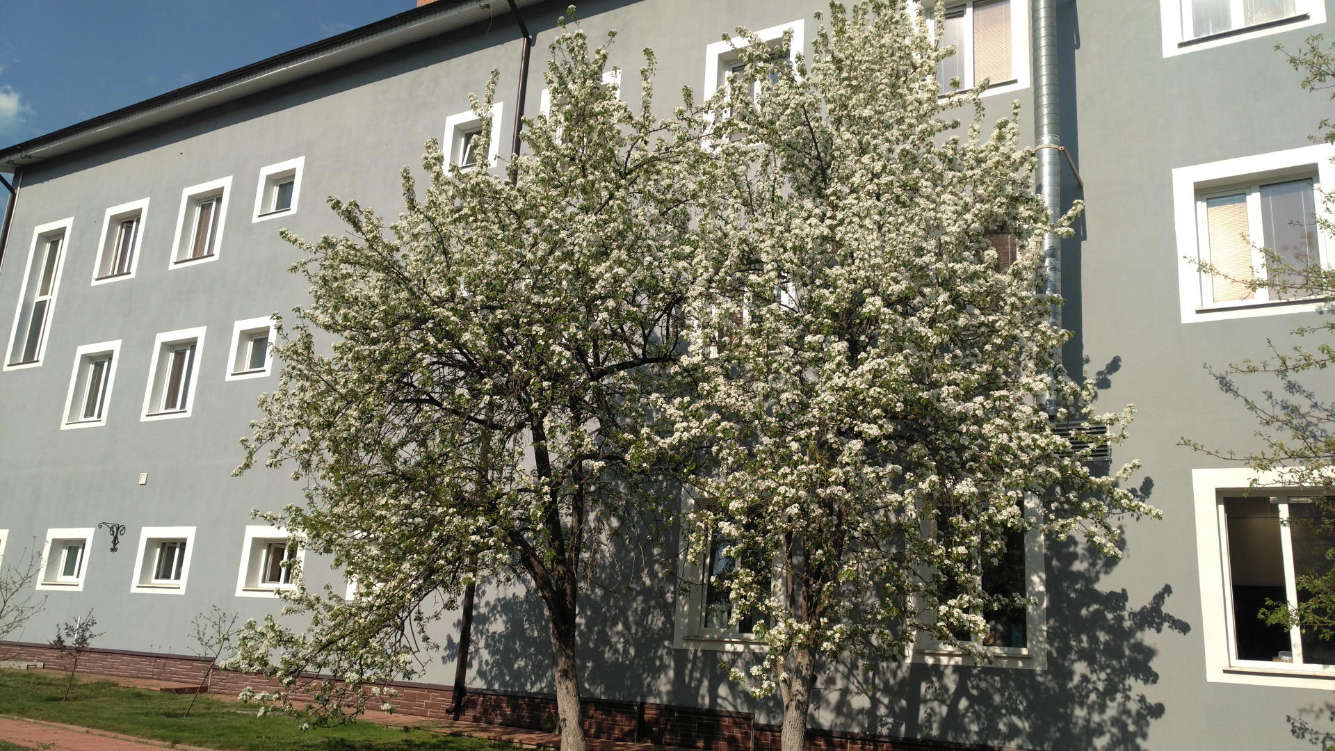 Отель Загородный на Заречной