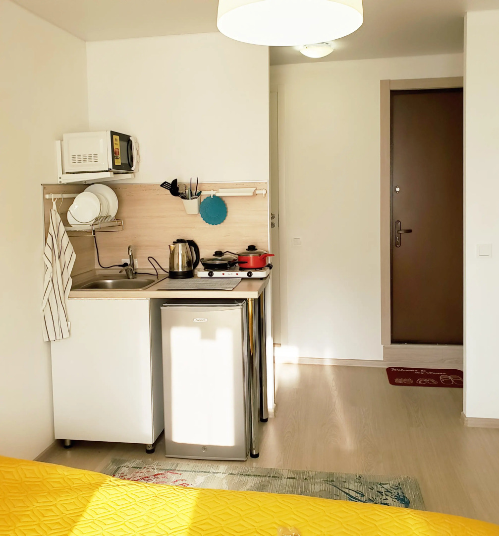 Апартаменты Уютная студия Лето ЖК Факел