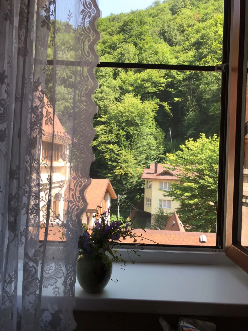 Апартаменты Лаура с Видом на Березовую