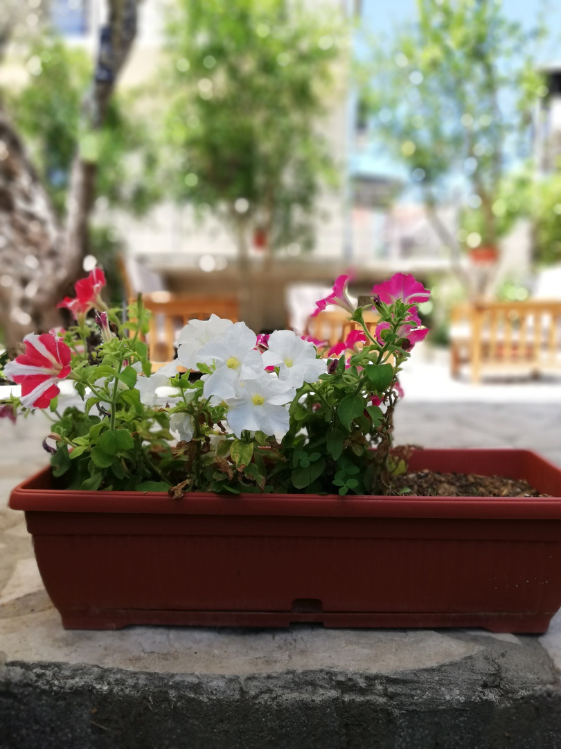 Апартаменты Tivat Luxury