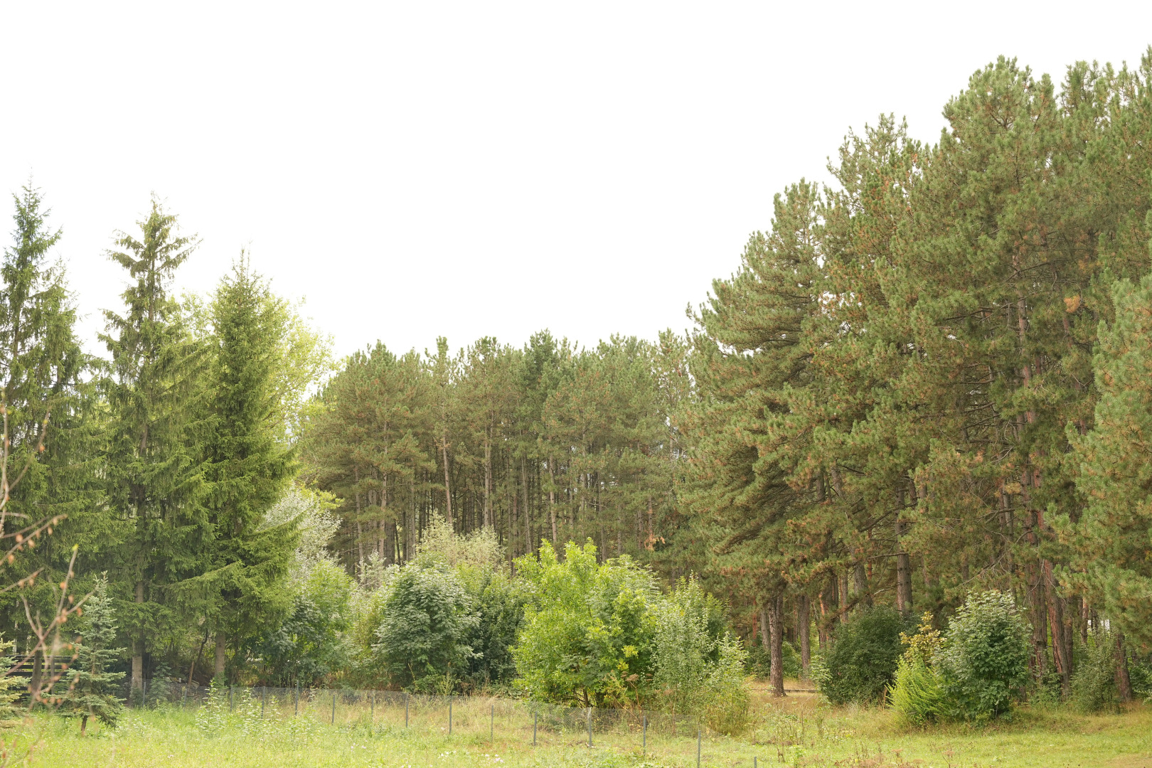 Отель EcoLife Lodge & Restaurant