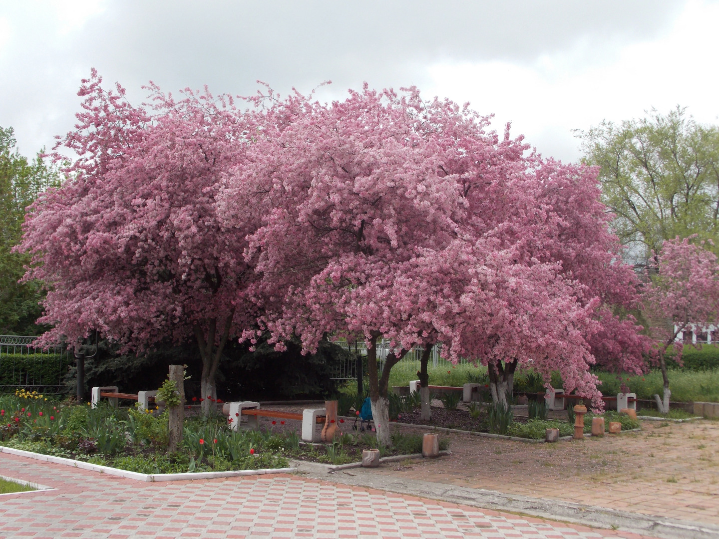 Отель Кузбасс