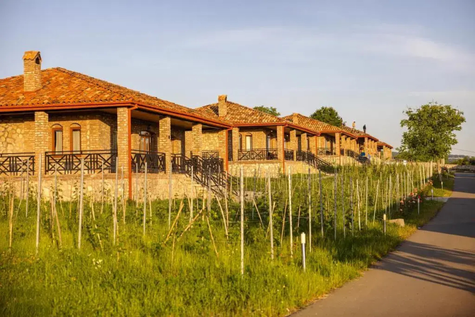 Отель Schuchmann Wines Château, Villas & SPA