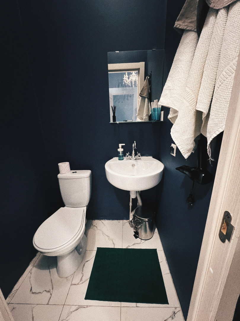 Апартаменты с акулой