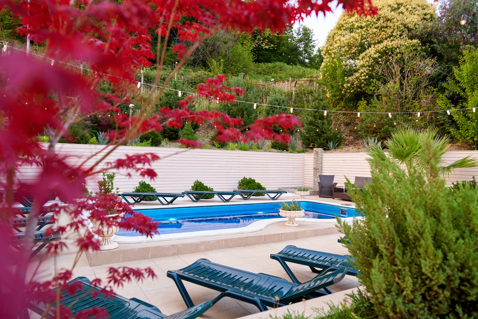 Гостевой дом Папайя Парк