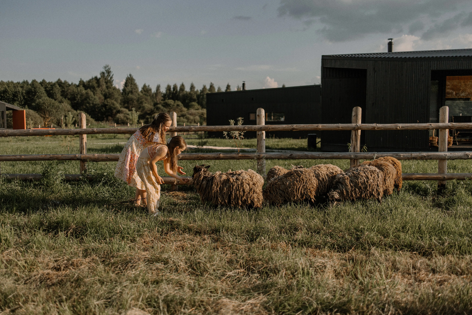 Частный дом Панорамные мини-домики на ферме Nomad Houses в Браславе