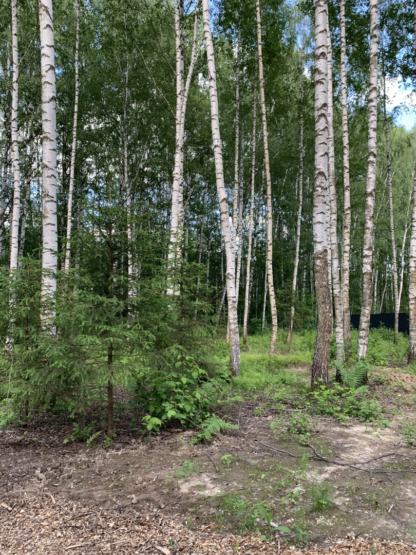 Частный дом A-фрейм в лесу Зеленого города