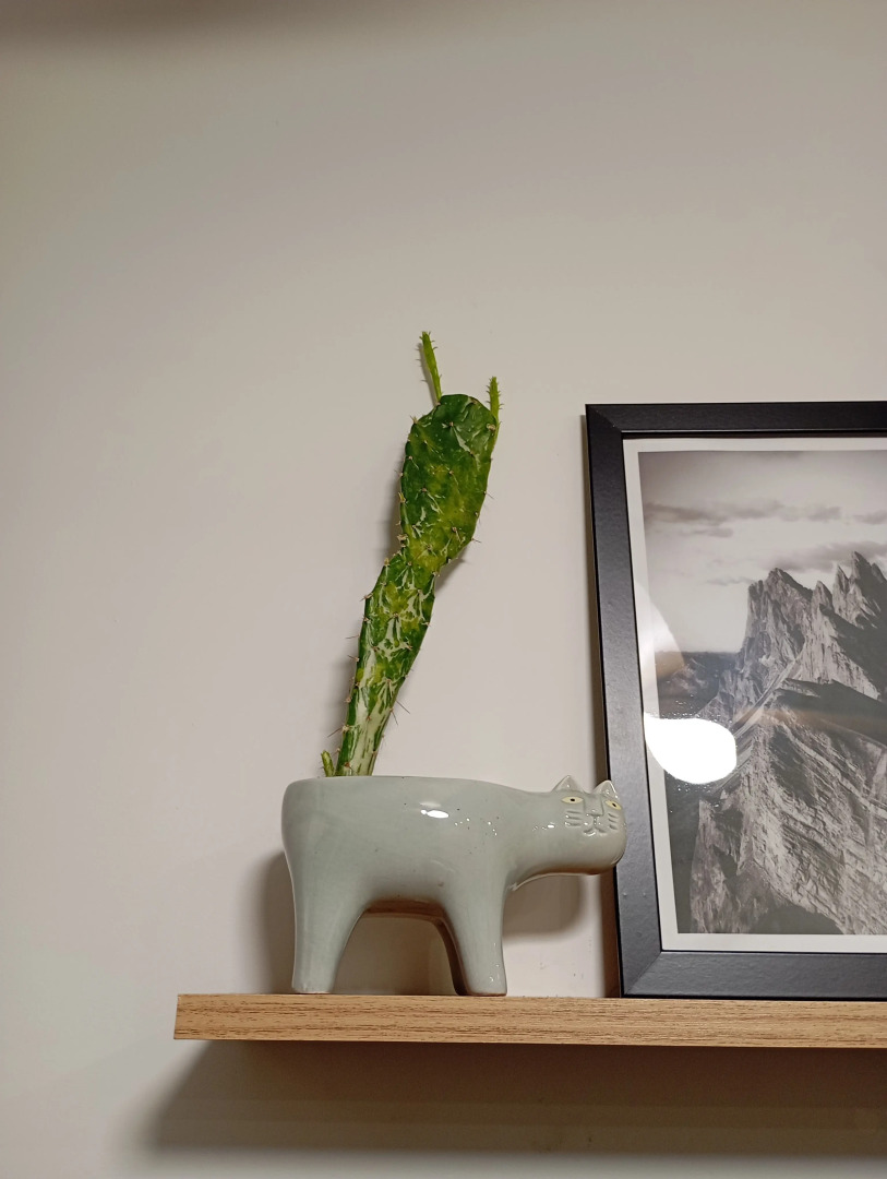 Апартаменты Дизайнерская студия для волшебных вечеров