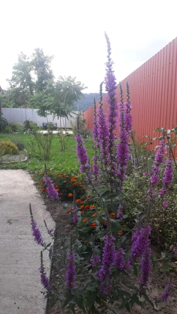 Частный дом Feel House