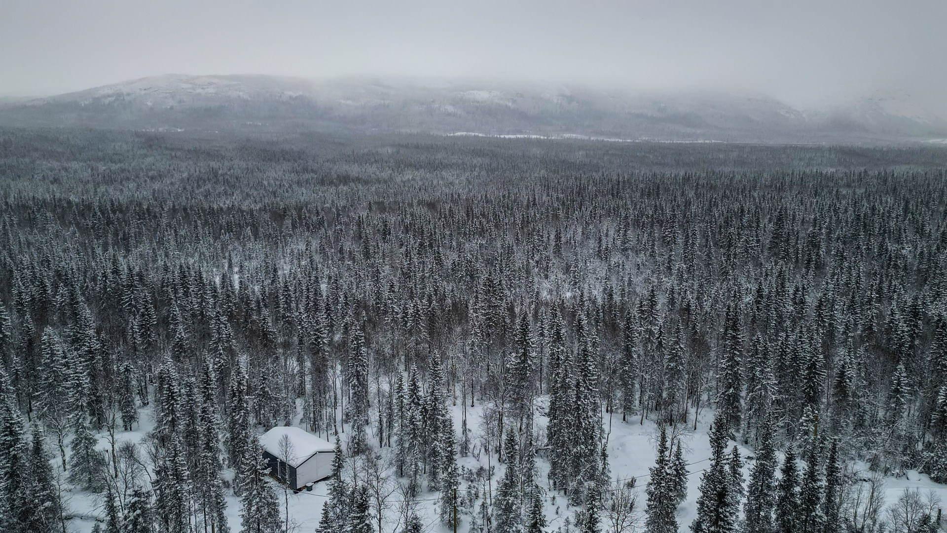 Частный дом среди леса в 15 минутах езды от Кировска