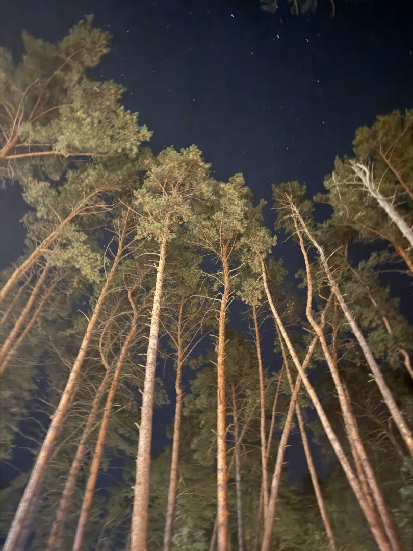 Частный Дом Бревенчатый Дом в Соснах