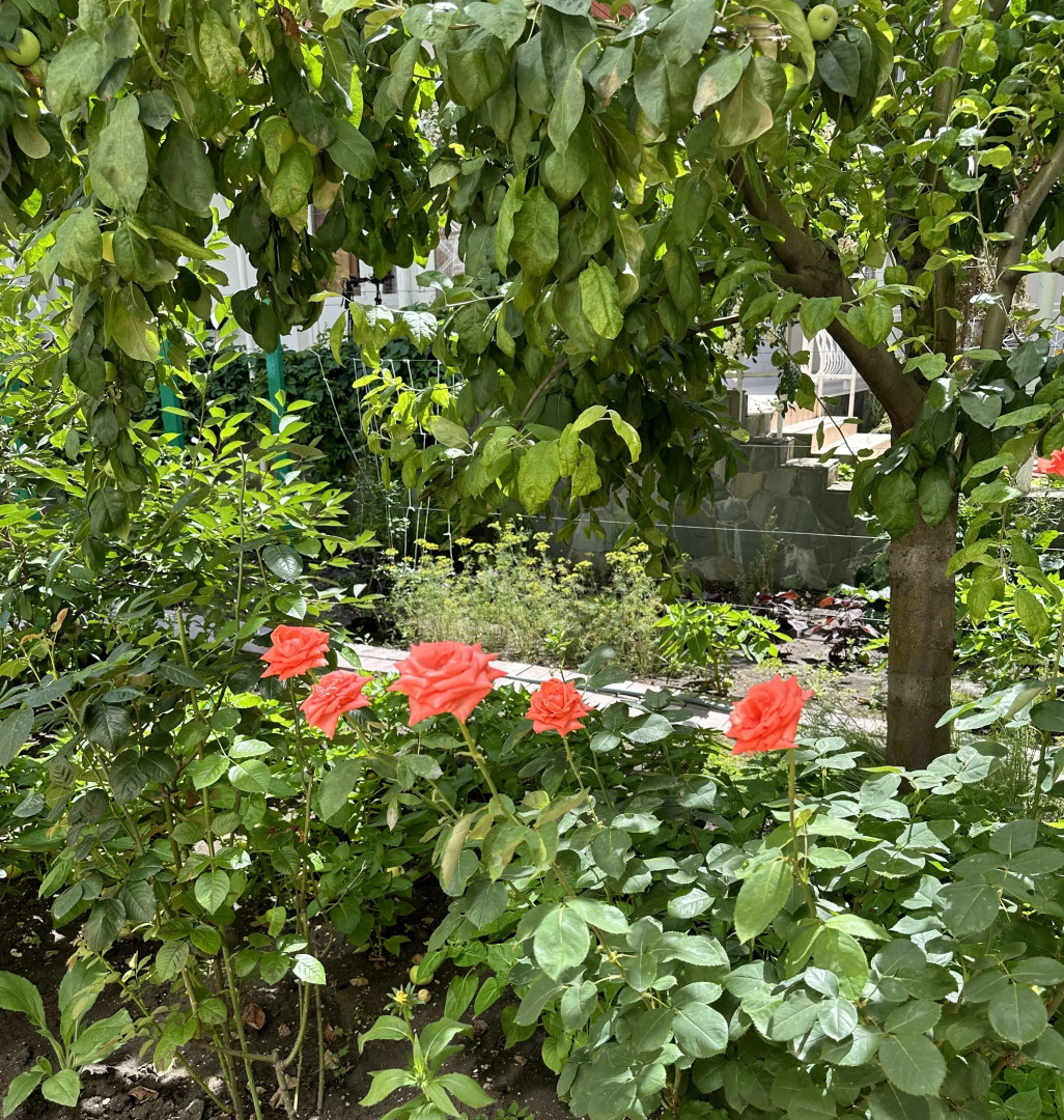 Гостевой Дом Отдых у Александра