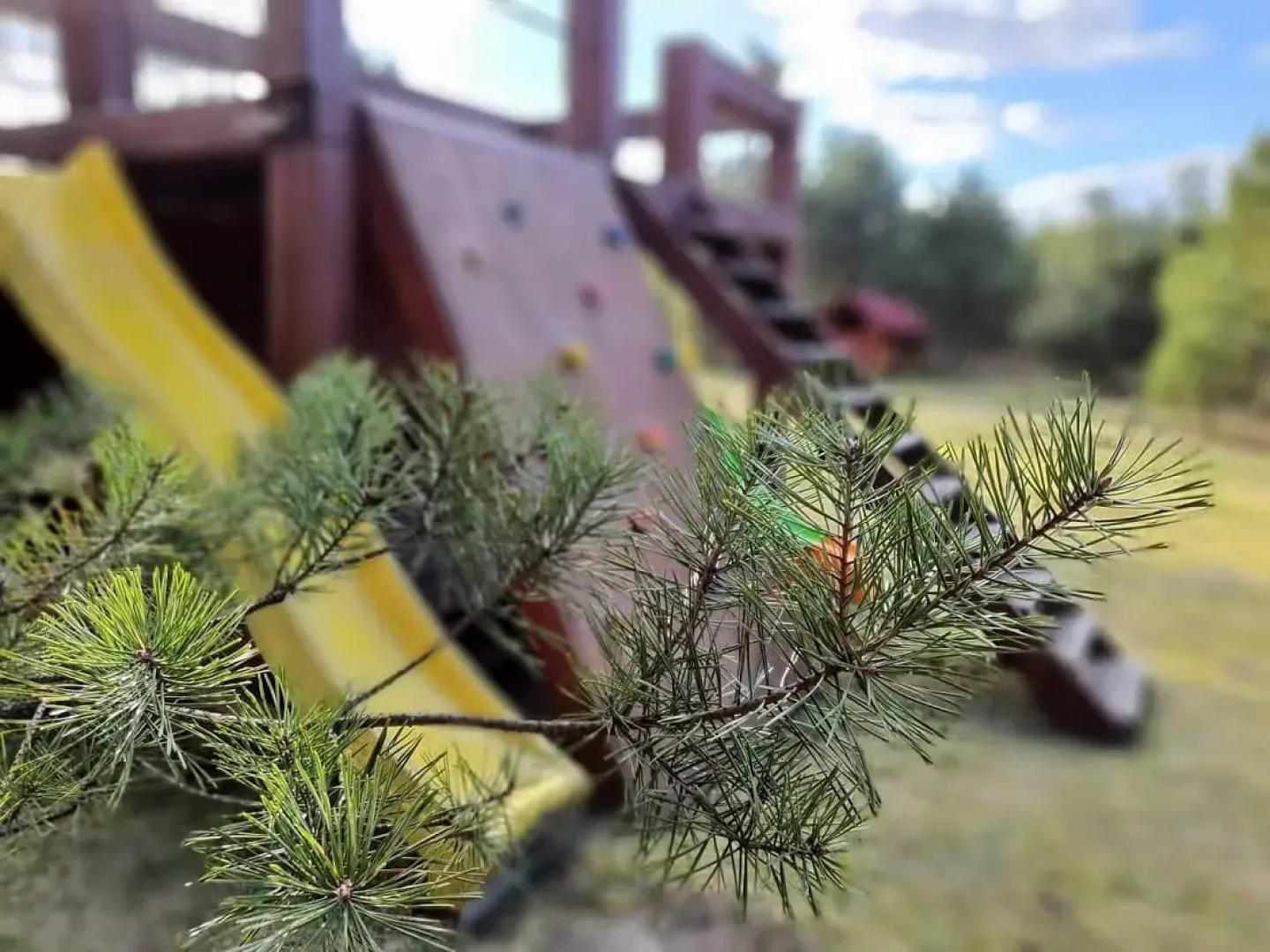 Мини-отель Туристический комплекс Лесной Эдем