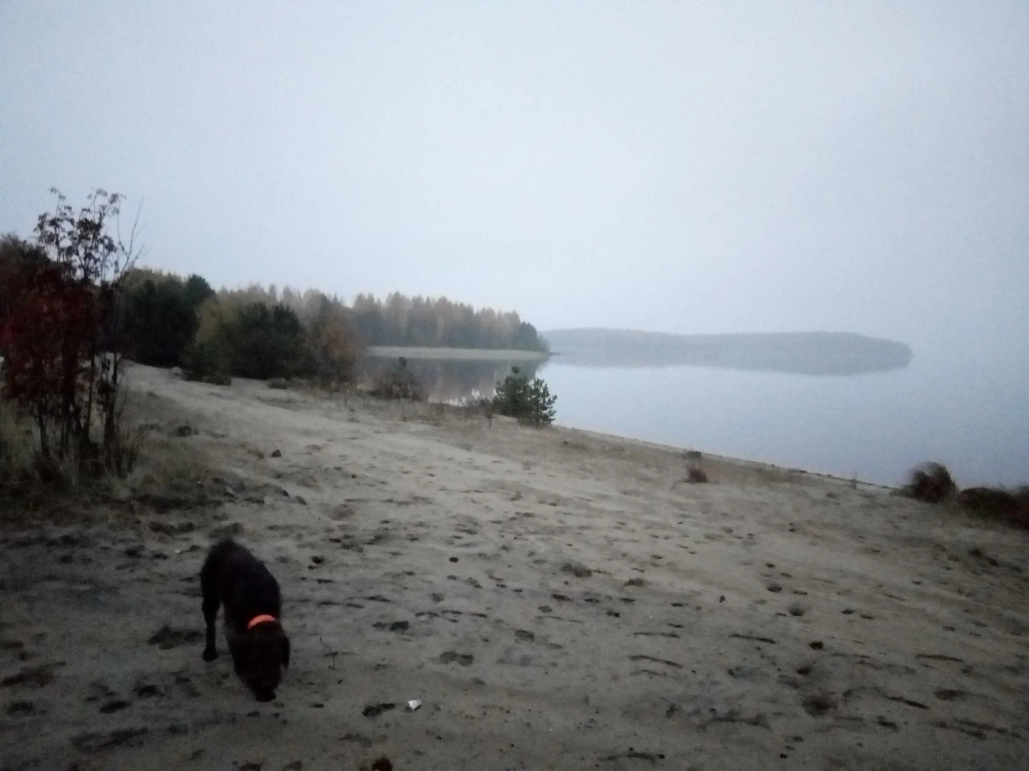 Частный дом на Берегу Озера в Карелии