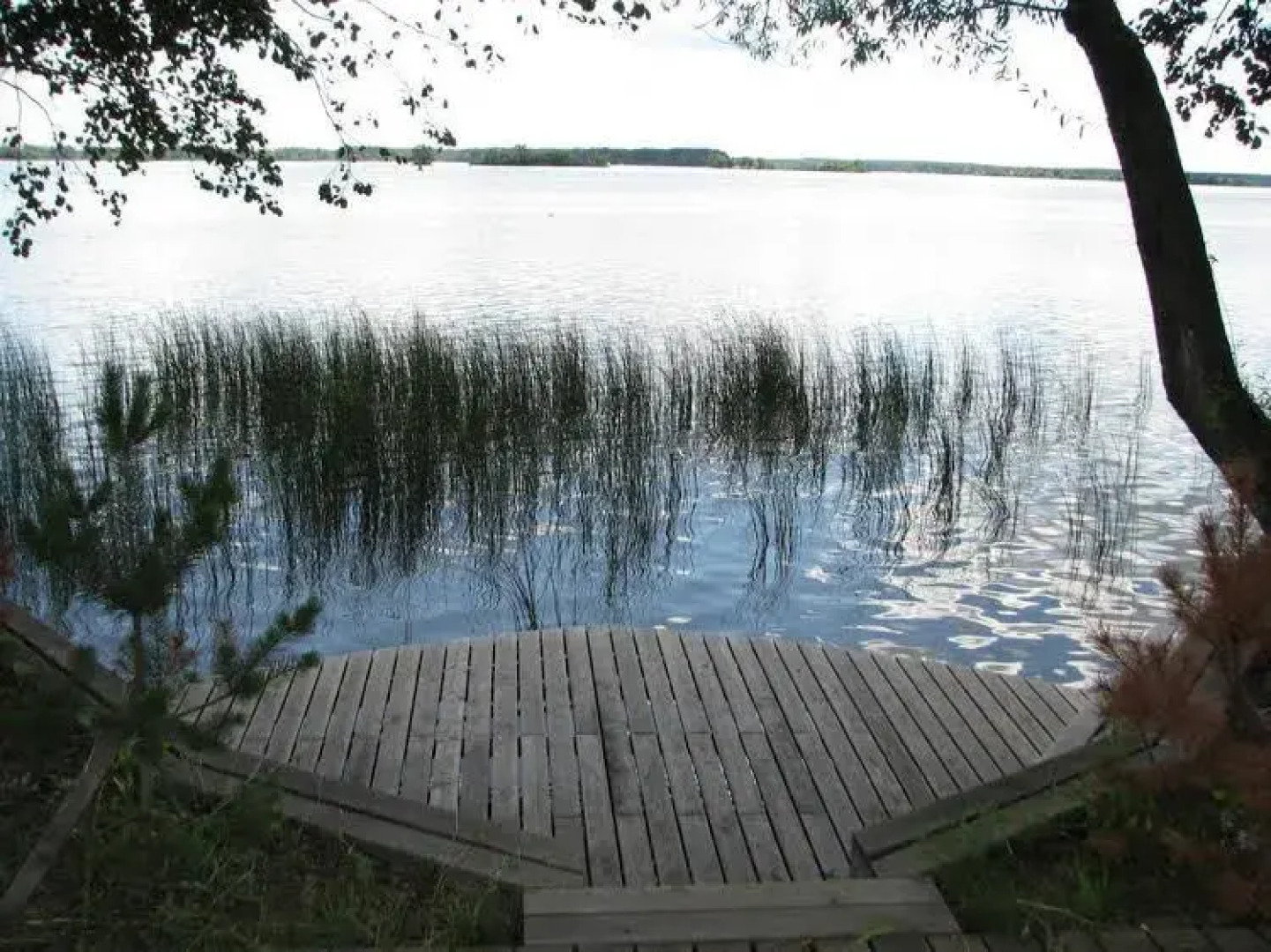 Эко Отель Веточка