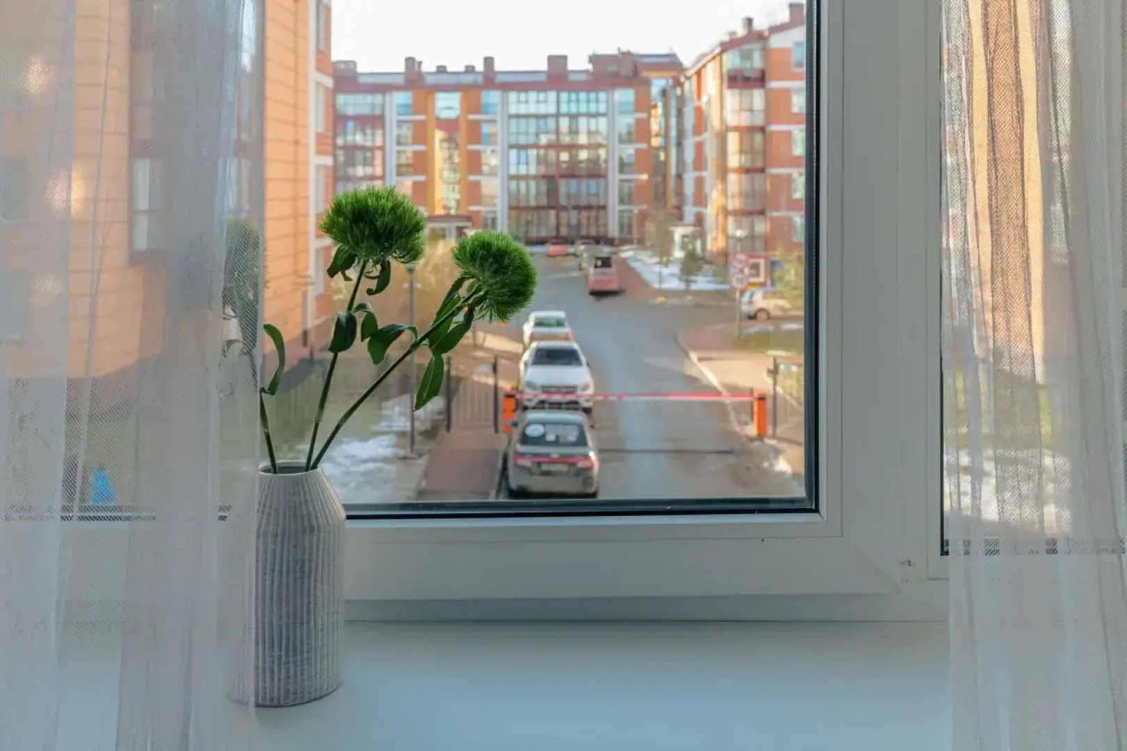 Квартира на Кокколевской 6