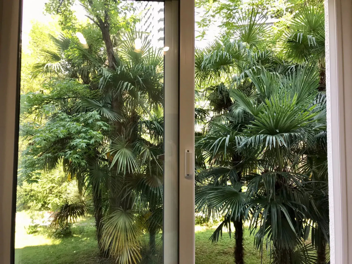 Квартира Переулок Горького 13