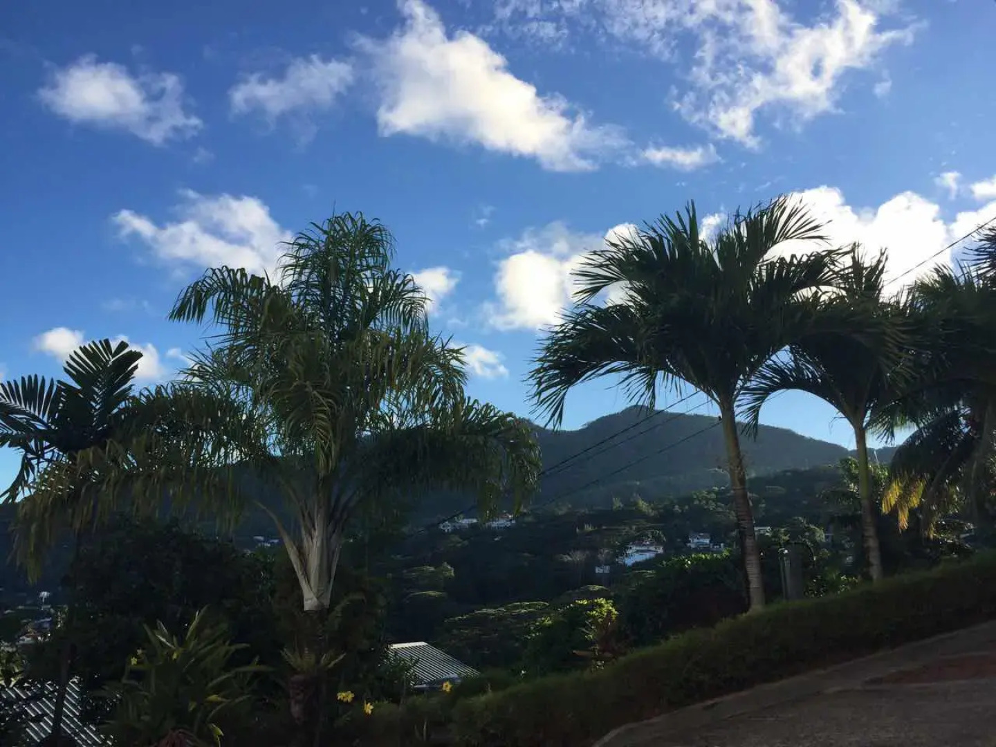 Бутик-вилла Villa Citronella