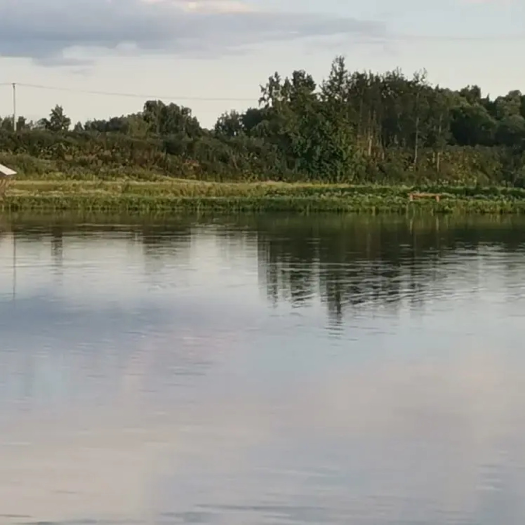 Бунгало МестоКлёва