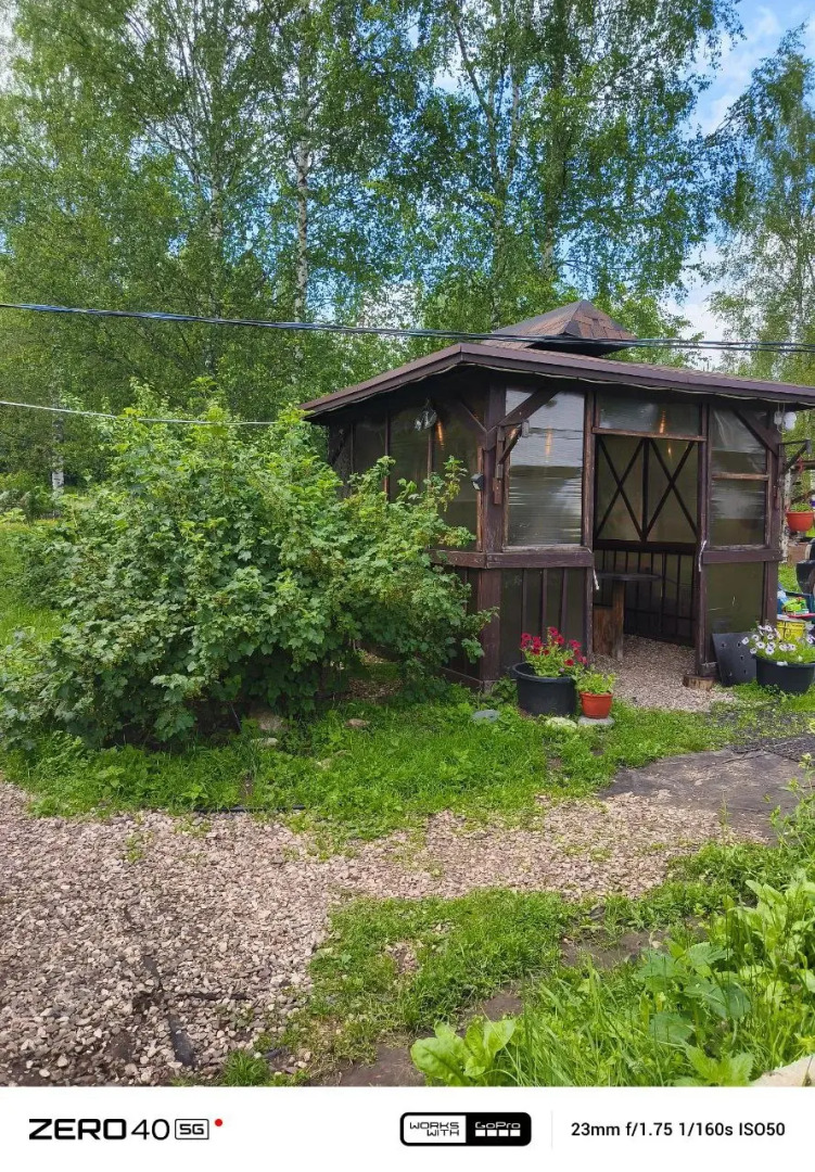 Частный дом в лесу у реки