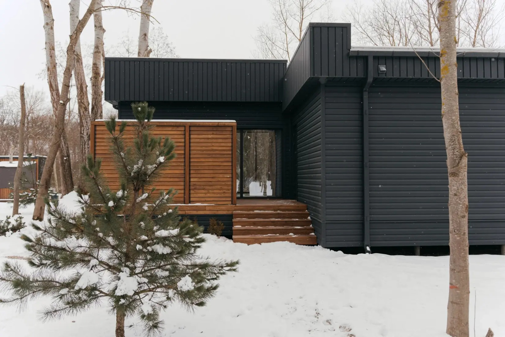 Частный дом Коттедж Лес