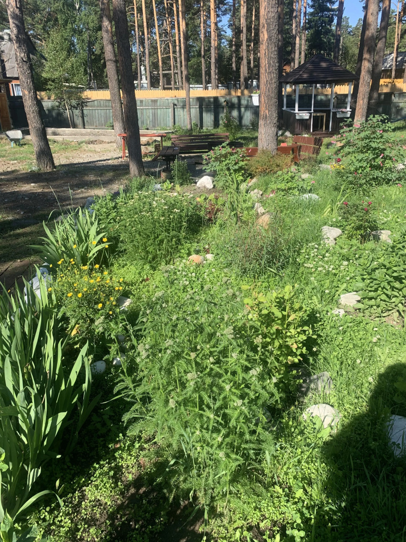 Мини-отель Подснежник