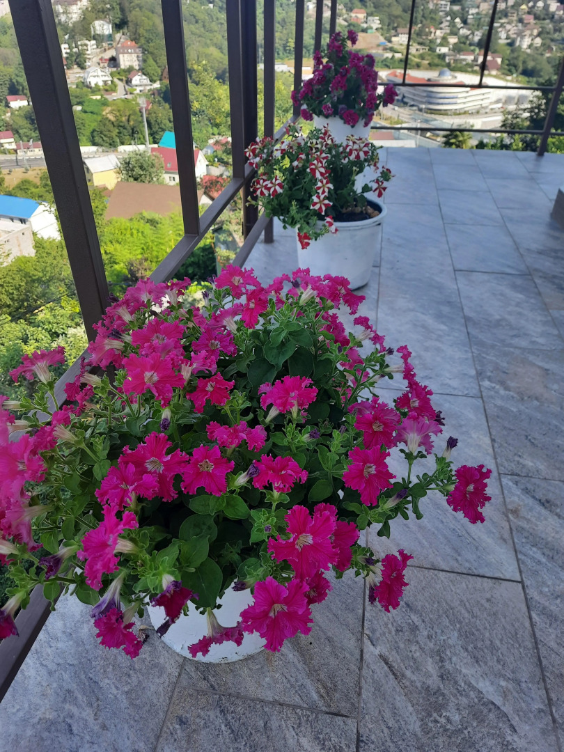 Гостевой дом Панорама Сочи