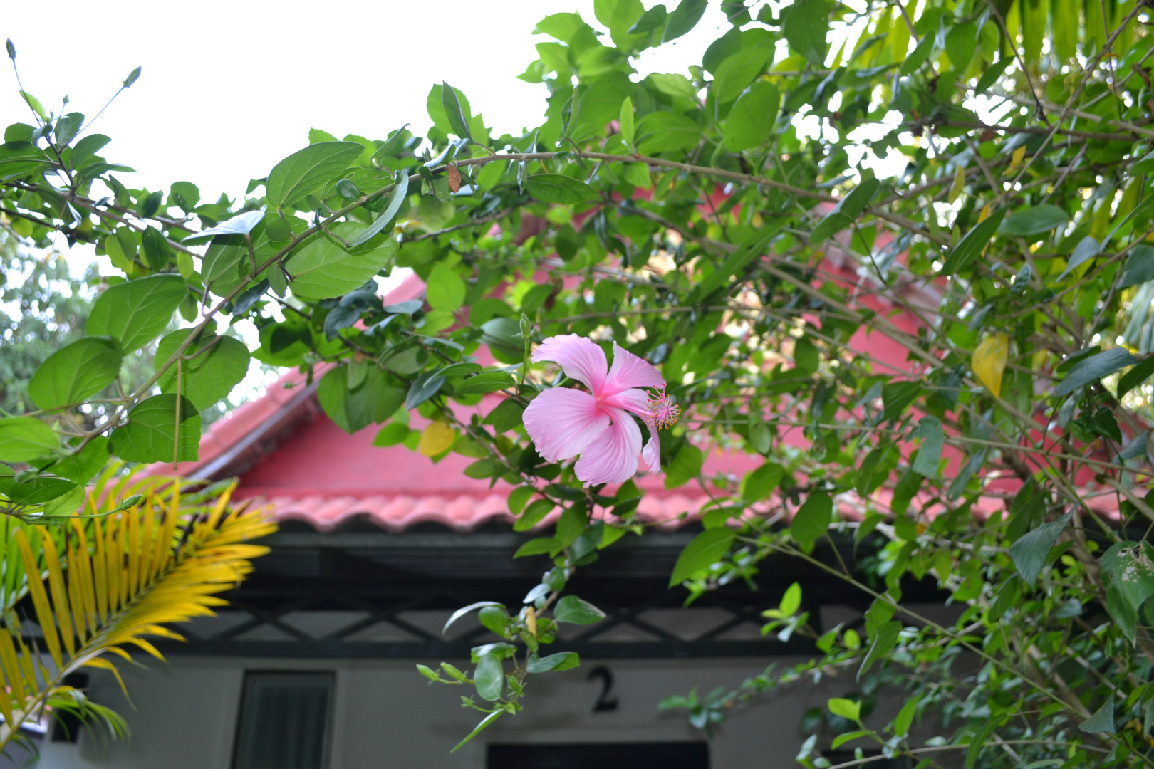 Вилла Nature Boutique Residence