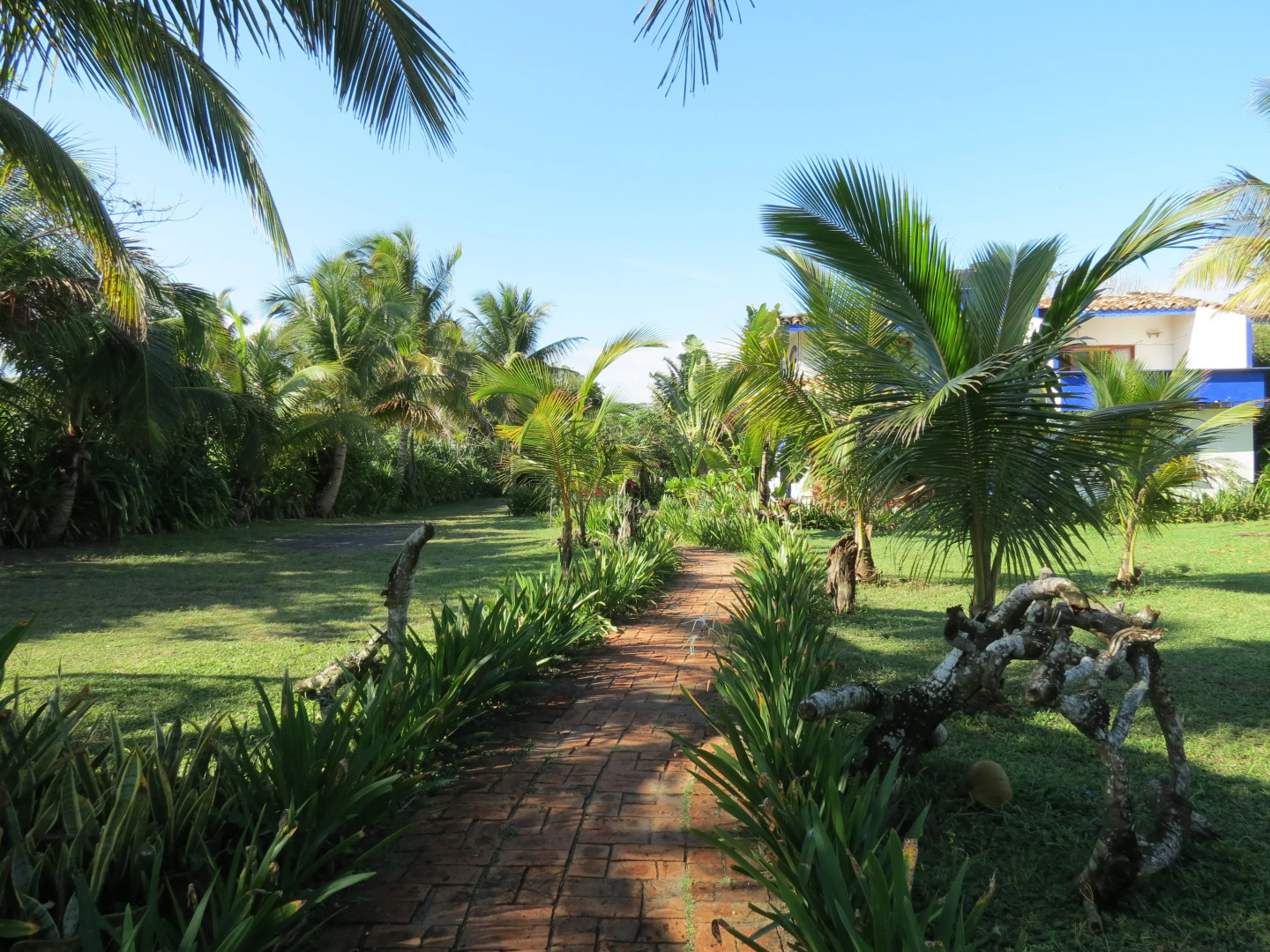 Отель Eco Coco Loco by Rotamundos