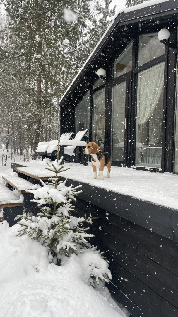 Гостевой дом на экоферме Тишь да гладь