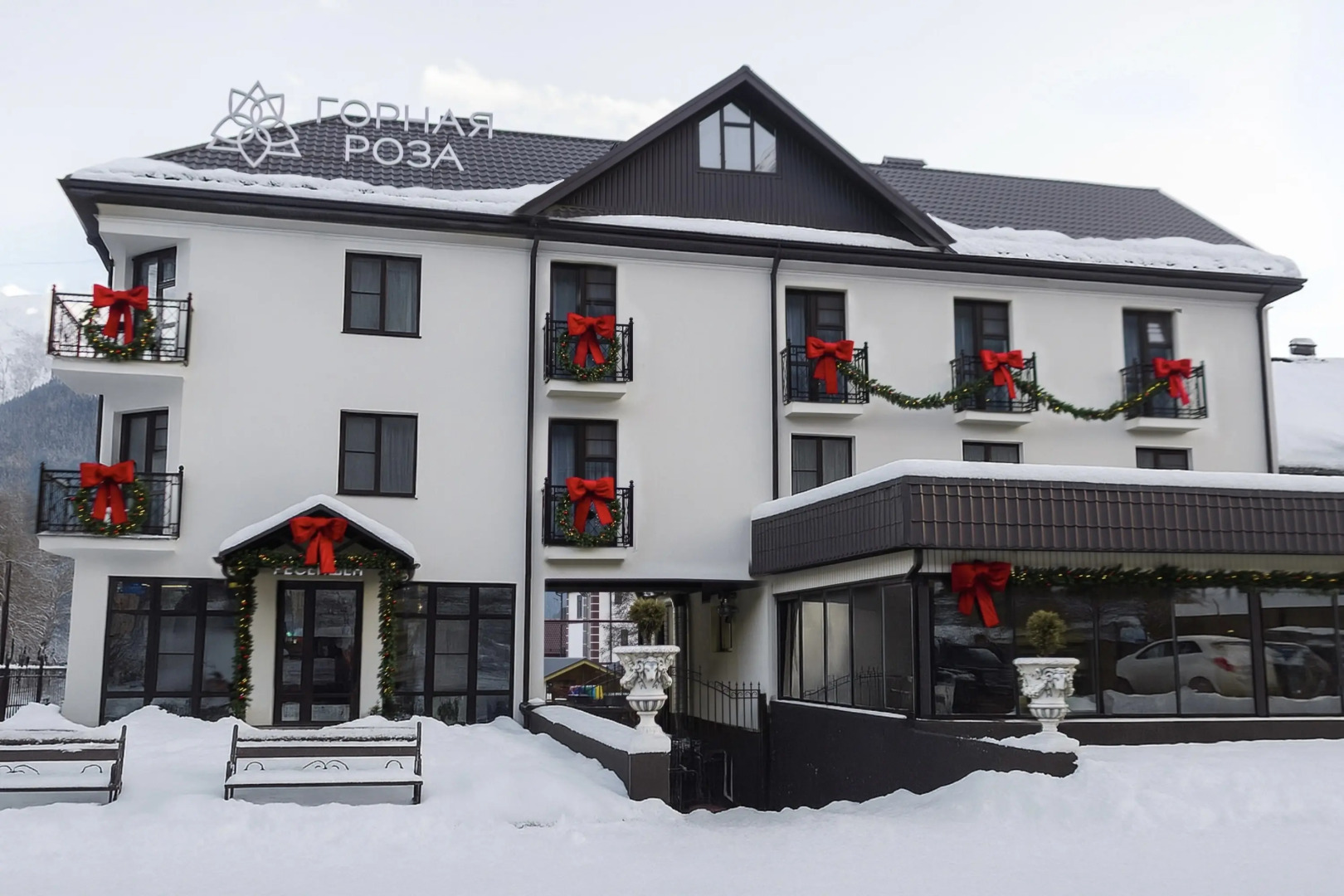 Горная Роза