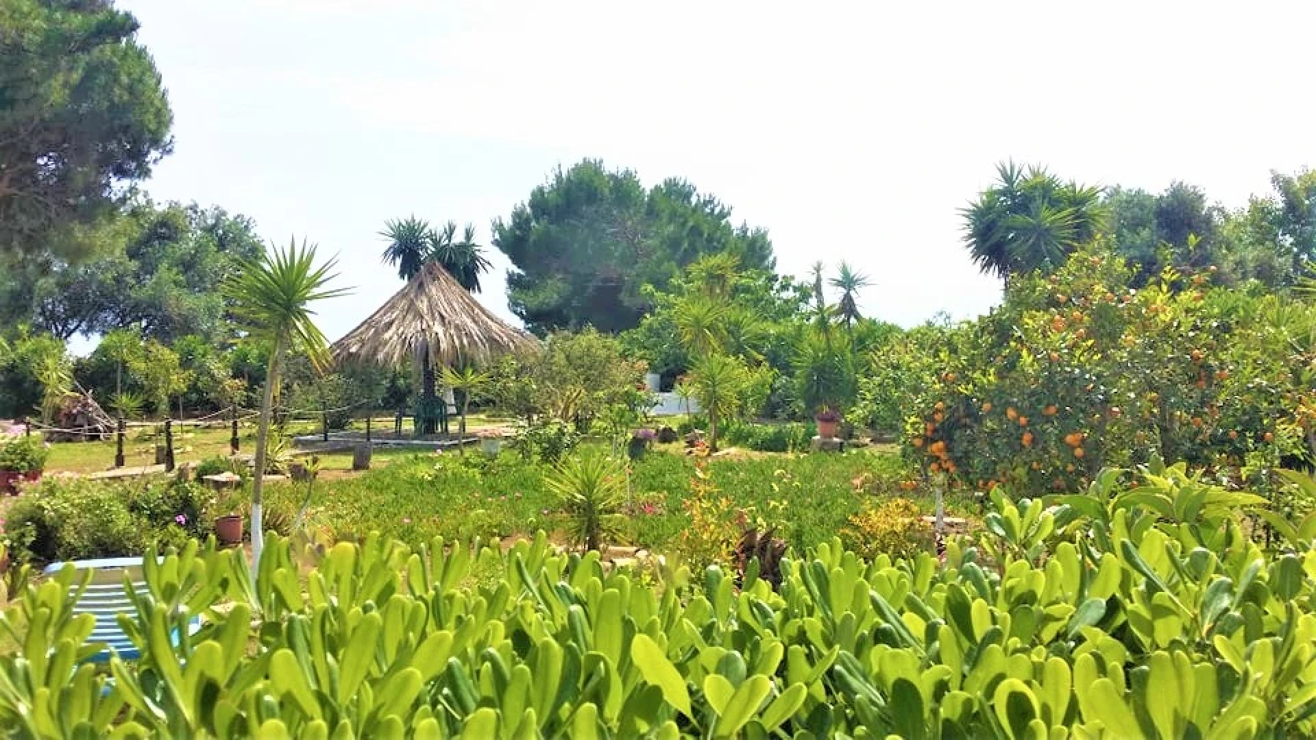 Вилла Tatiana Corfu