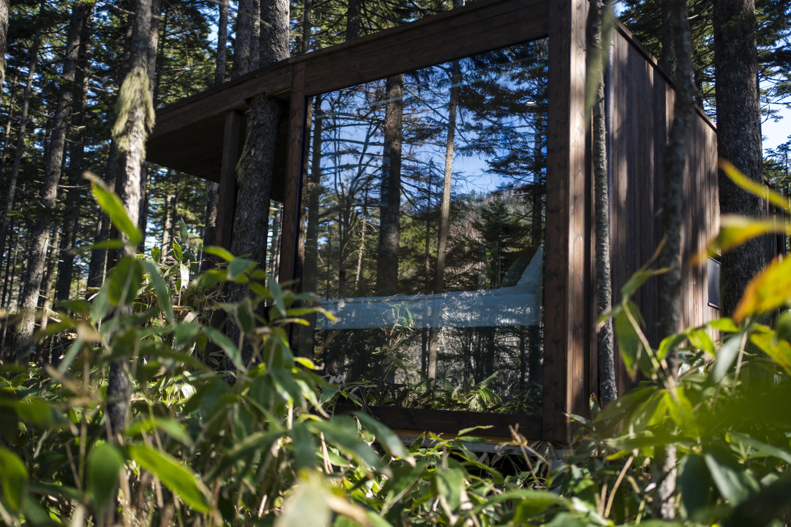 База отдыха Кунашир Резорт и СПА