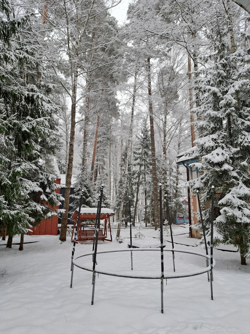 Частный дом в Заветах Ильича с голубой гостиной