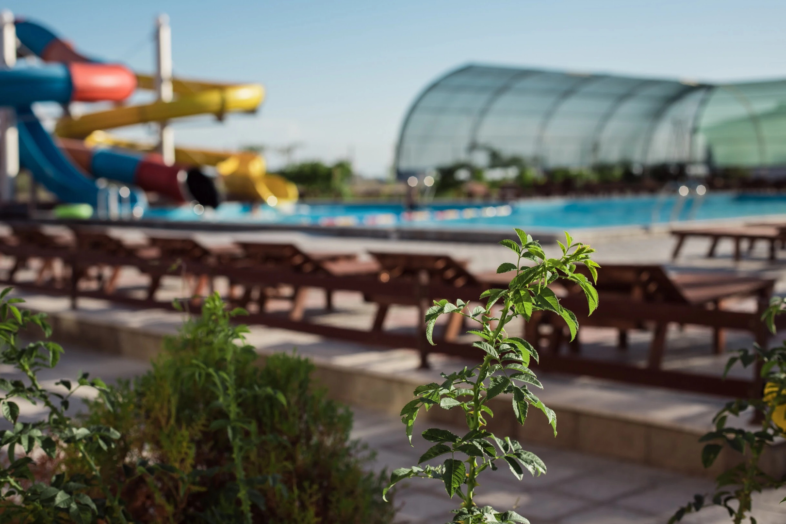 Отель Picnic Park