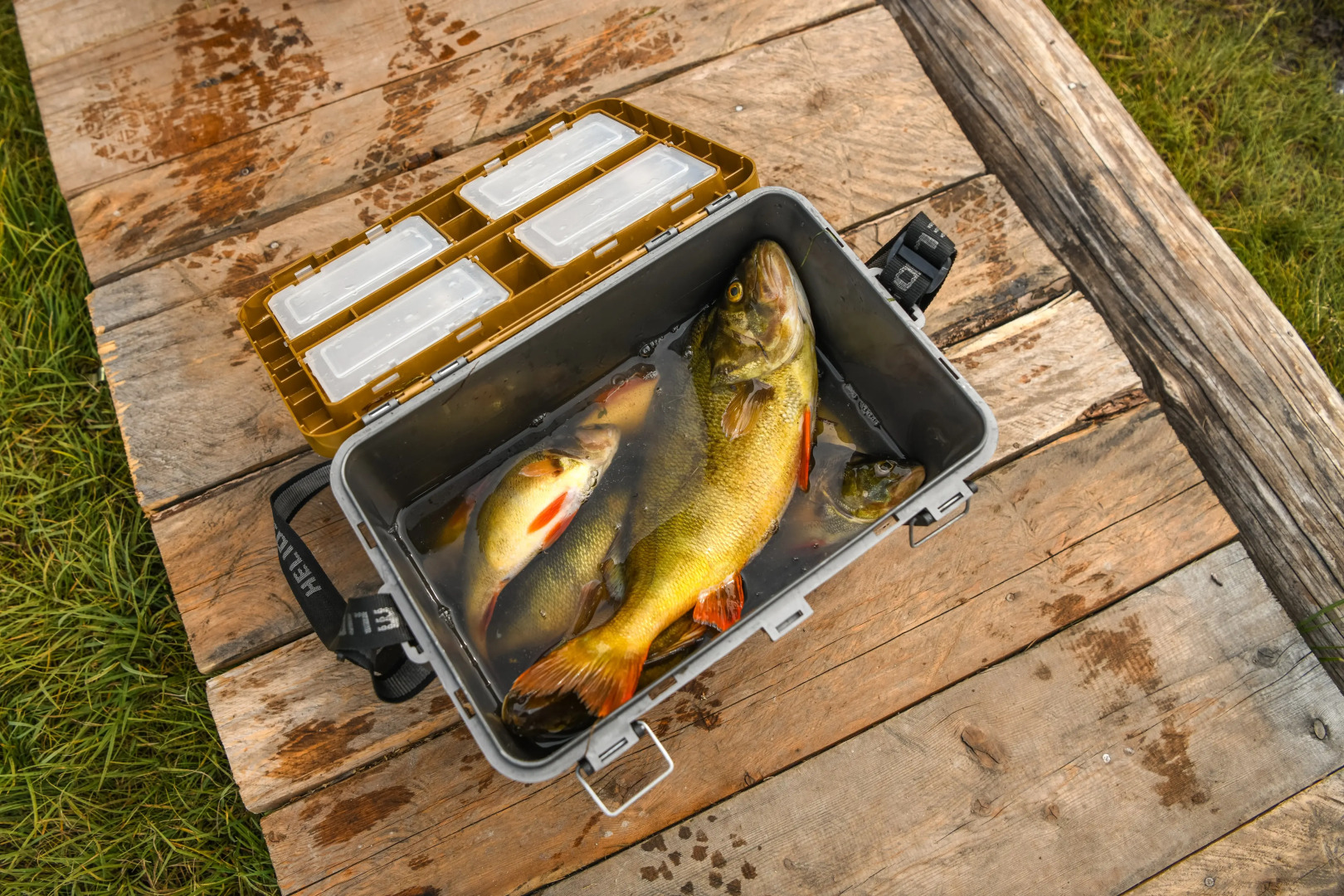 Курортный отель  Dalai Eej Khuvsgul Lake National Park