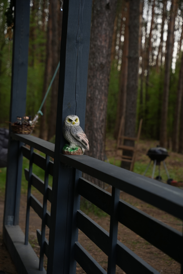 Частный дом Сова - Эко дом с чаном