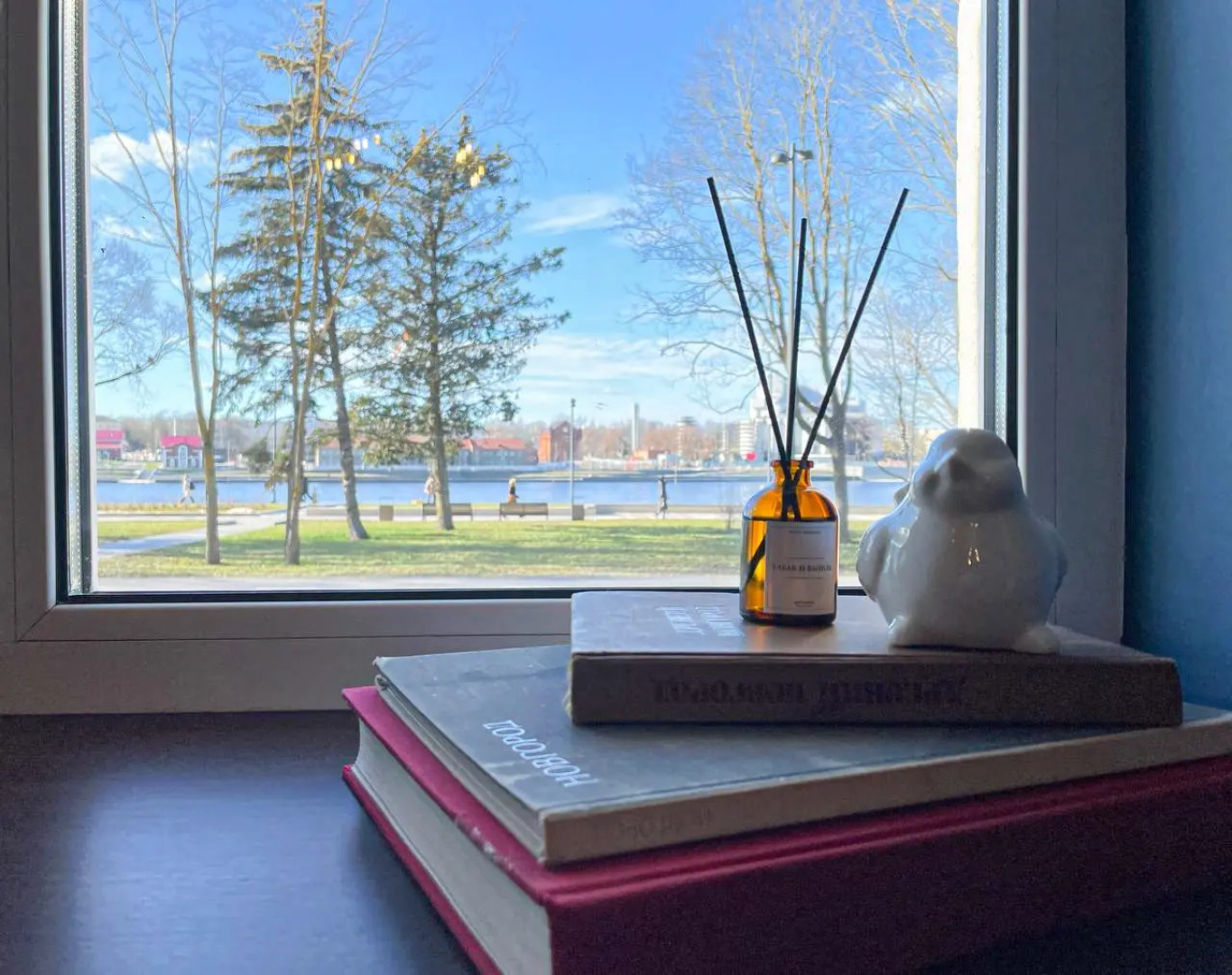 Квартира с видом на набережную в центре Великого Новгорода