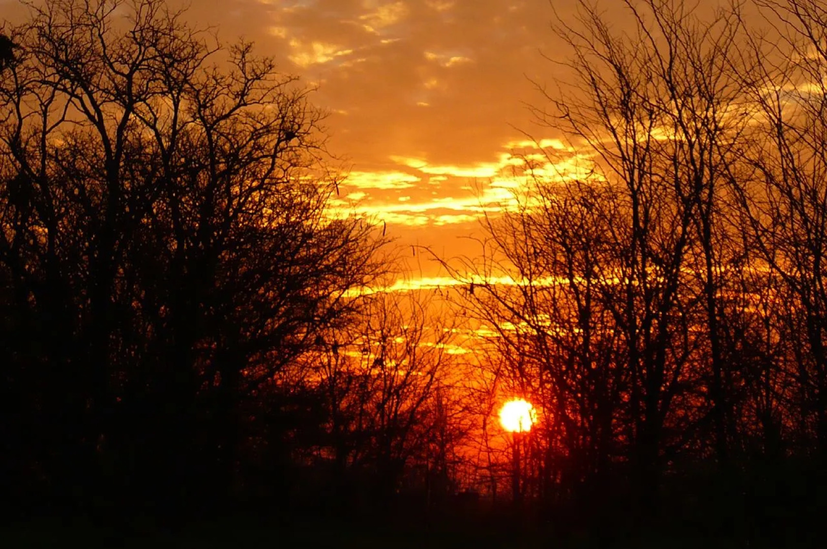 Бутик-Отель Estancia El Cencerro
