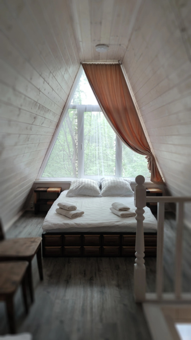 Частный дом Пряня