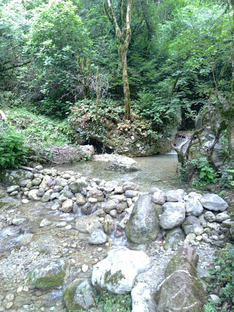 База отдыха Ущелье Гагрипш