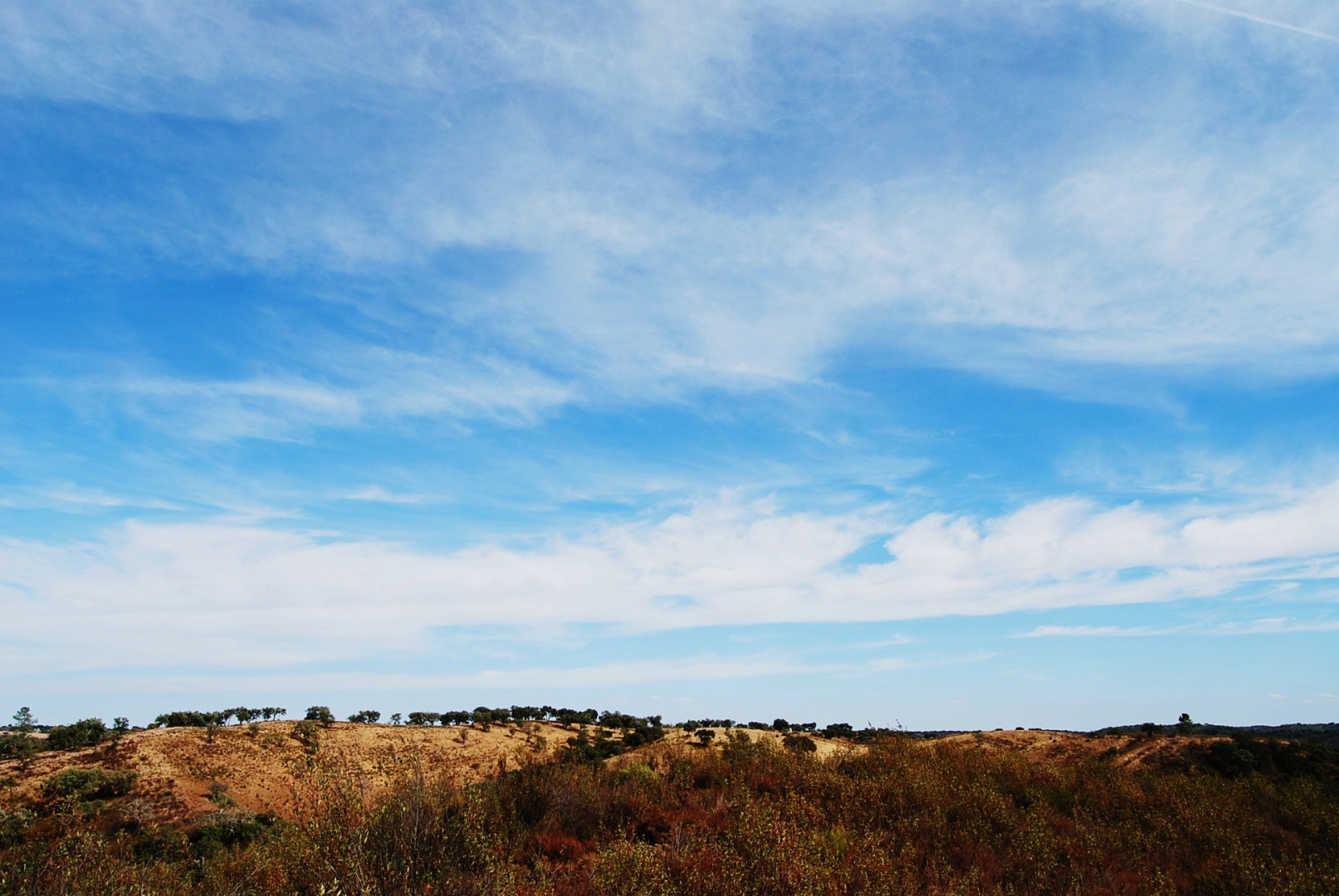 Гостевой Дом Buddha Peaceful Oasis