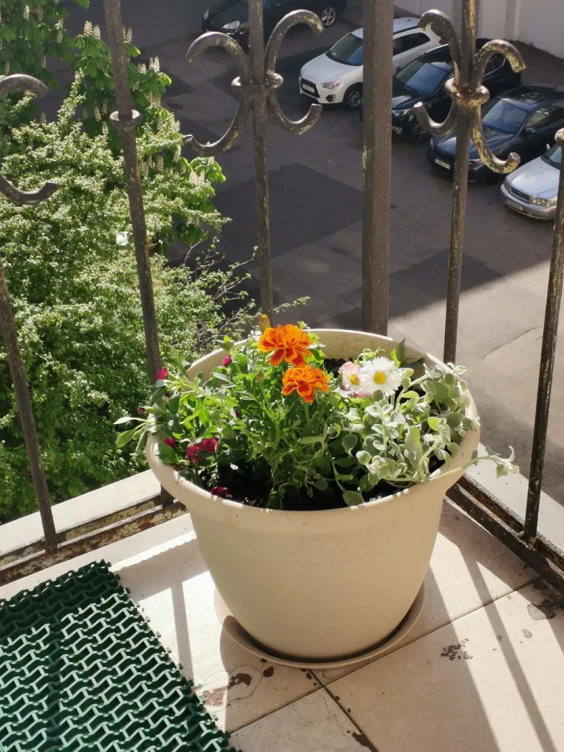 Апартаменты Площадь Республики