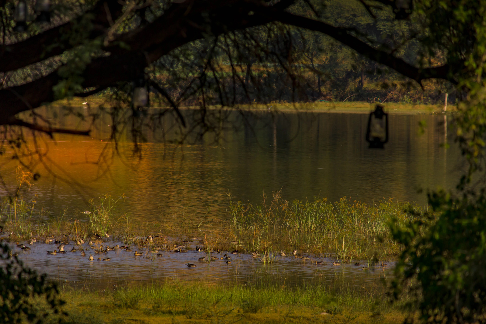 Отель Dev Shree Relais and Châteaux Luxury Deogarh