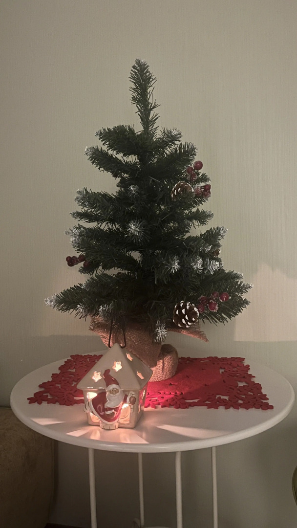 Апартаменты Анду