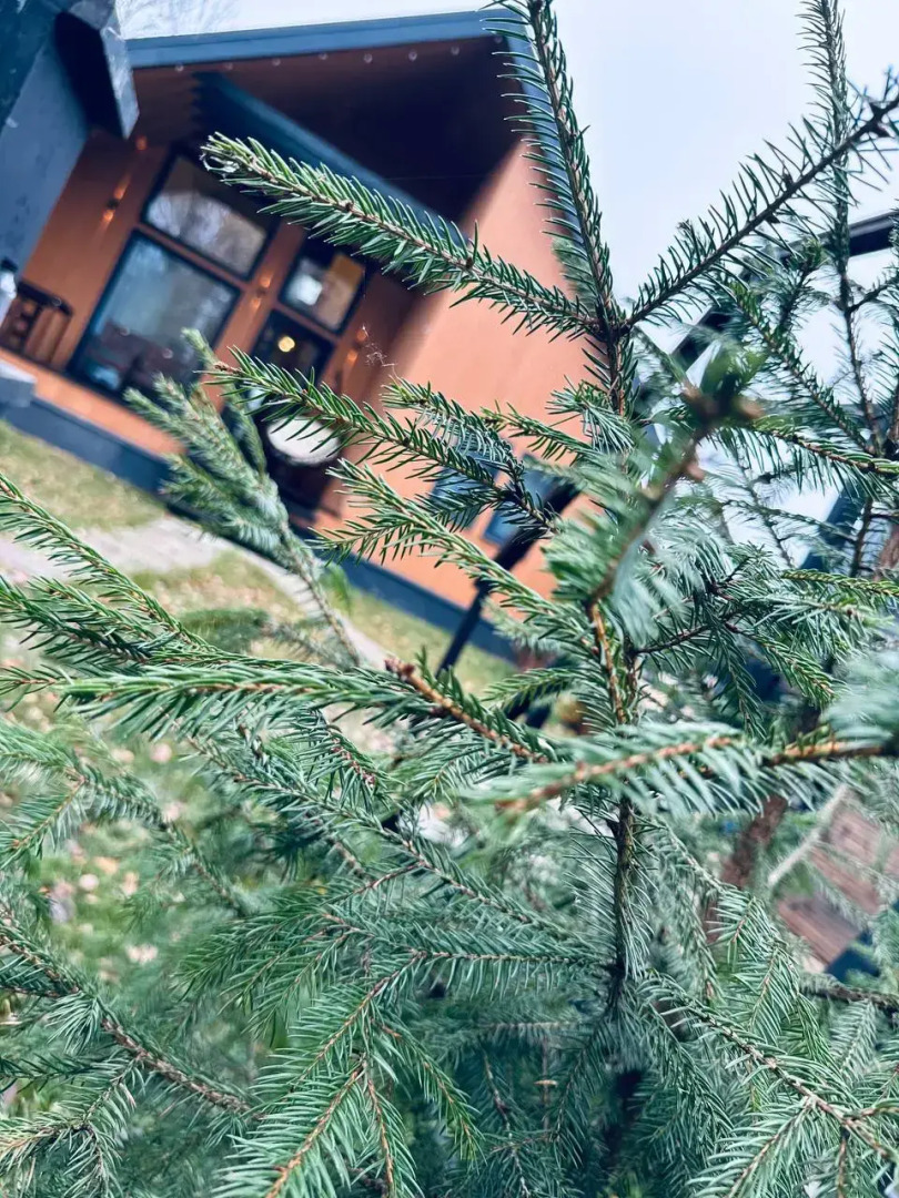 Частный Дом Барнхаус №2 на 10 гостей, с дровяной баней и горячим чаном